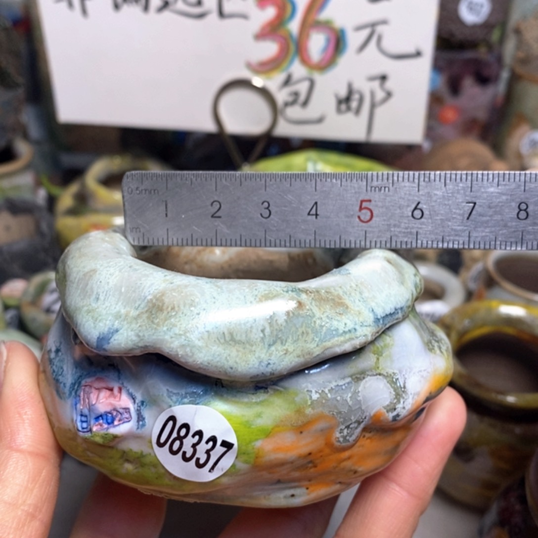 花盆拍3送一个小礼物