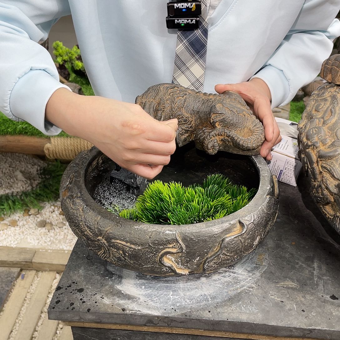 一套一套一套b1-019一套