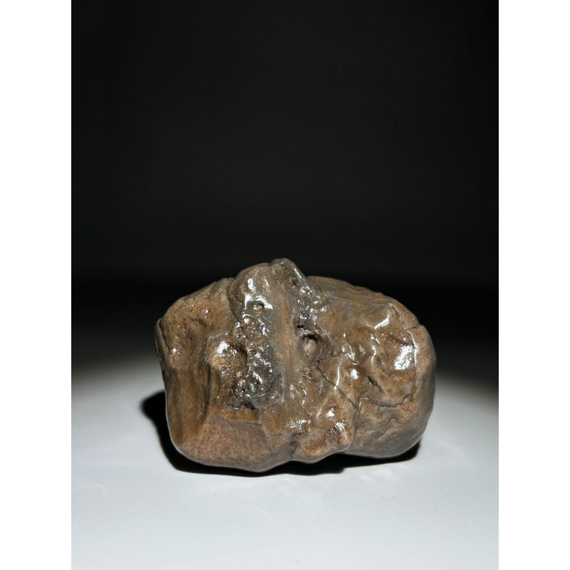 戈壁人石头铺戈壁石奇石摆件天然风化创意摆设室内办公室摆件