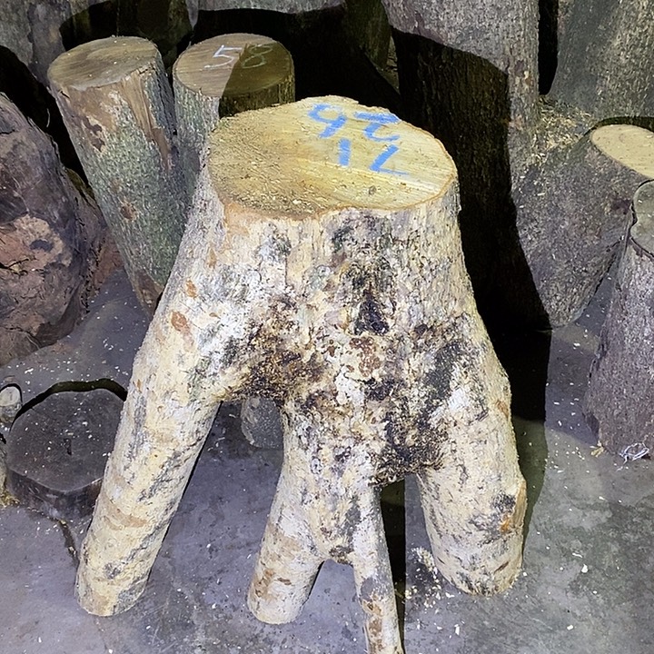 小叶桢楠金丝楠木