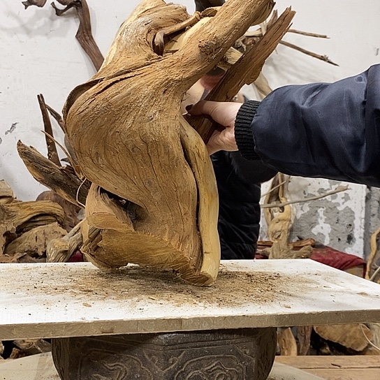 艺***阁柏木我们都是好孩子