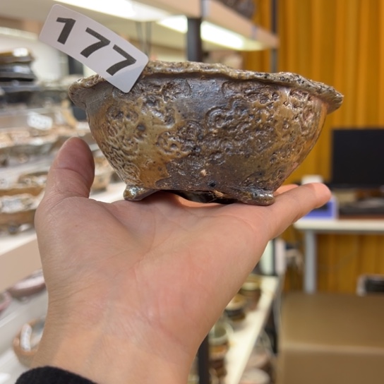 红陶10.5x4.5/177/////