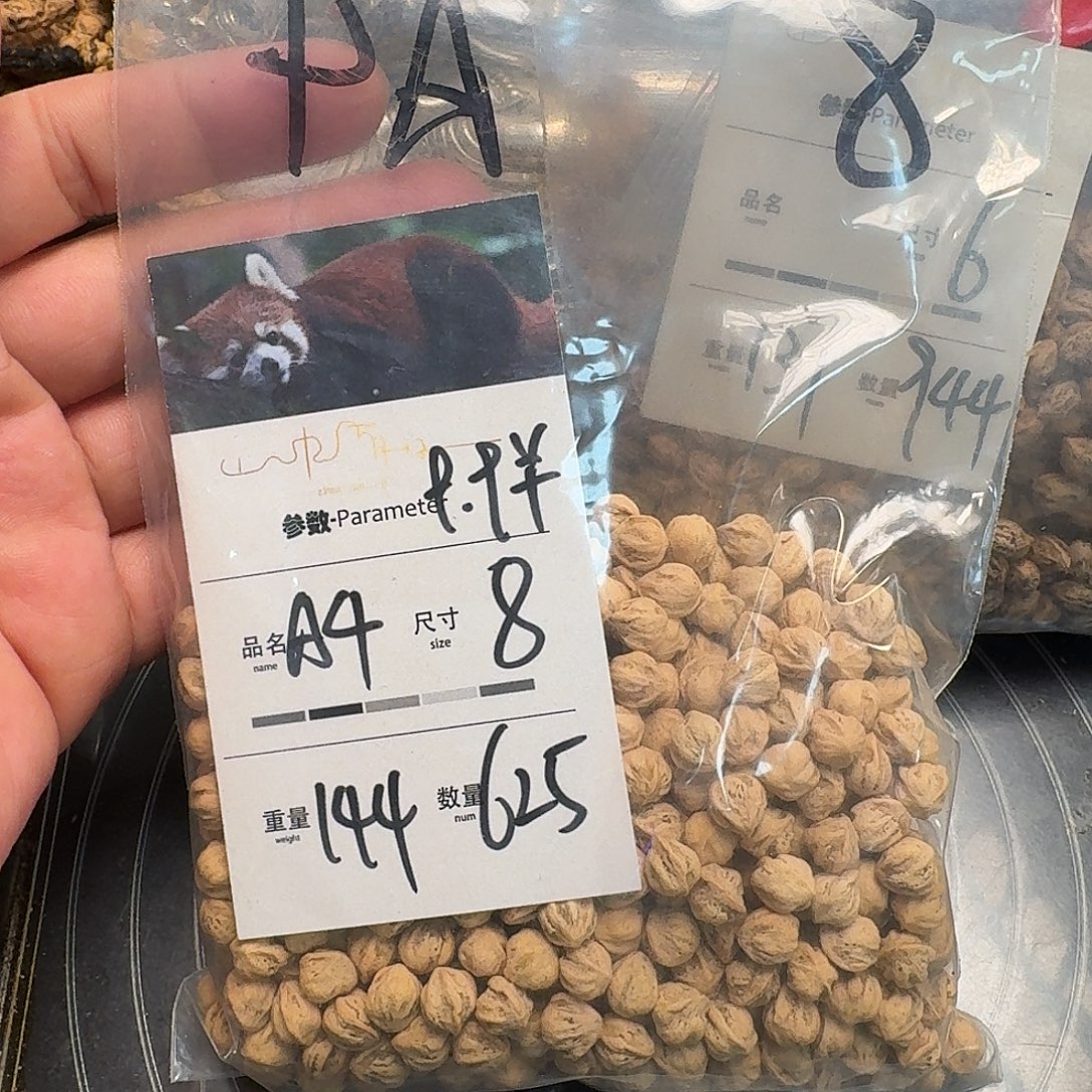 宁***风柏香籽/百香籽吊坠