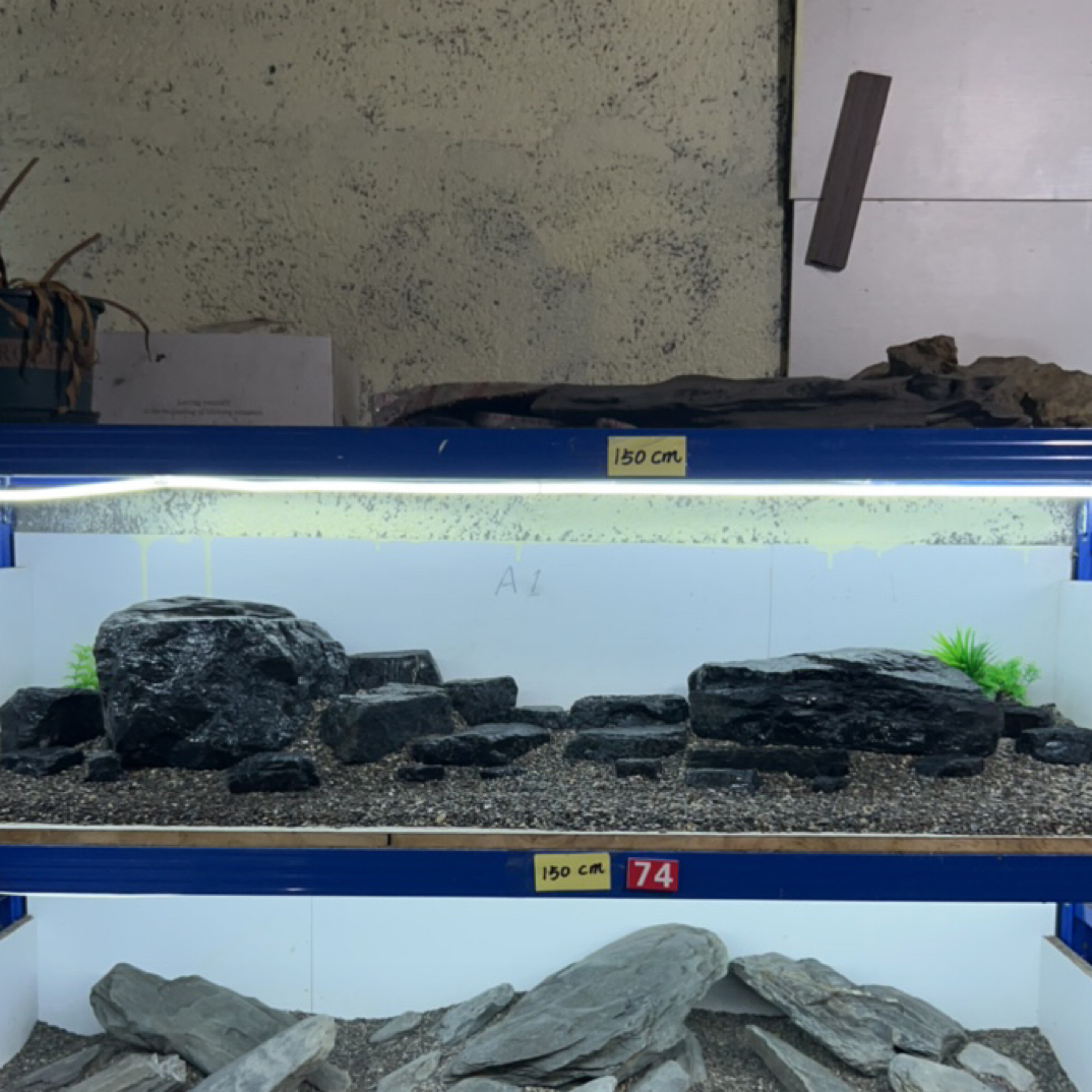 水族鱼缸黑金石造景