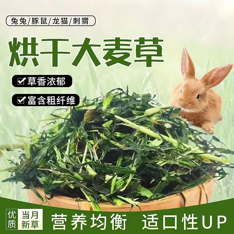 烘干大麦草段新鲜幼兔荷兰猪兔子侏儒兔荷兰猪窝窝睡房食用兔子草