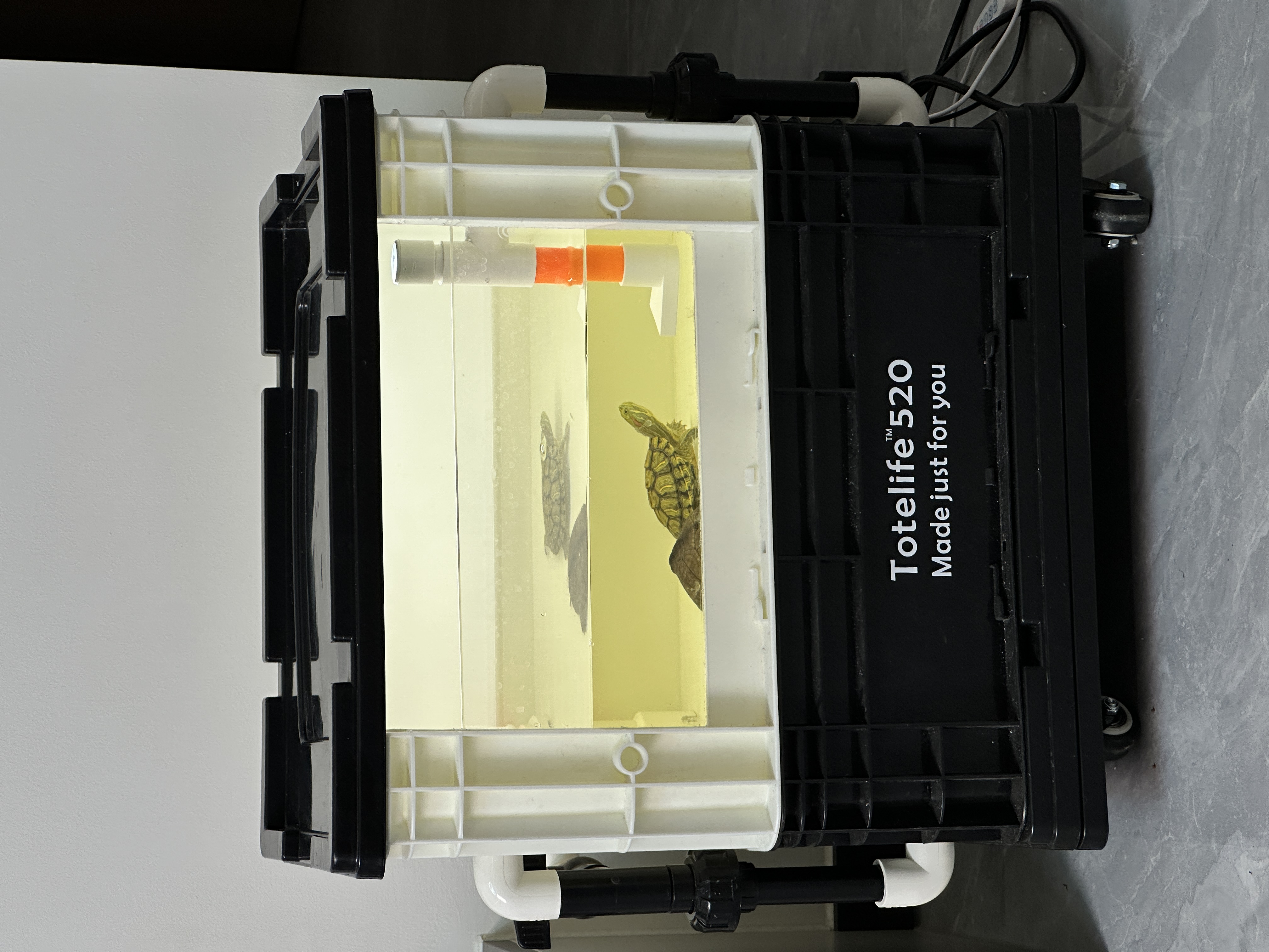 40底滤可视工业风周转箱底滤缸 定制排缸 鱼缸