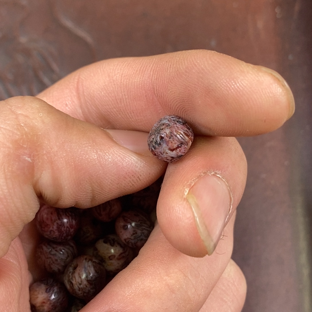 手串/手链驼骨0.9尺寸鹿三界,187