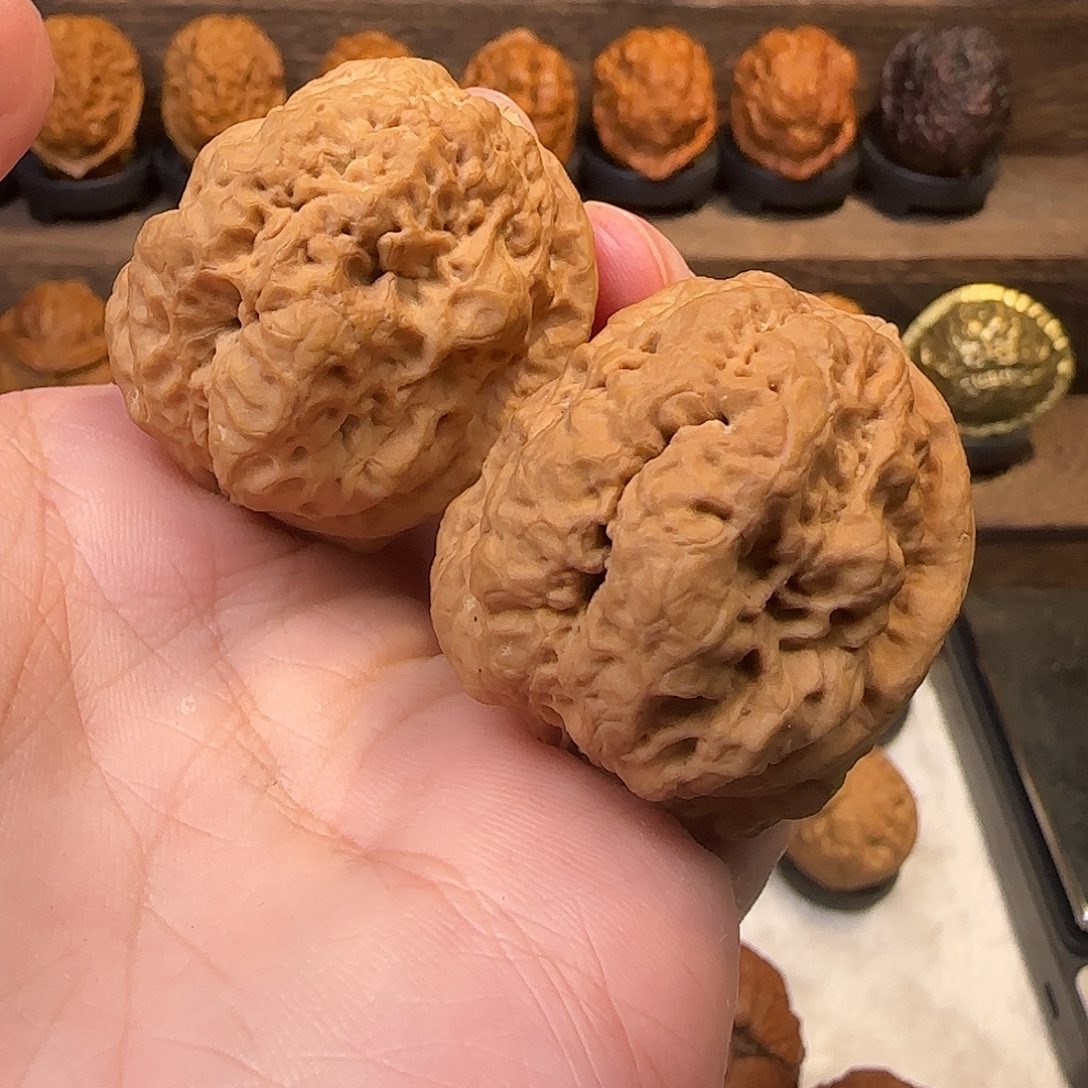 文玩核桃把件蛟龙金蟾45