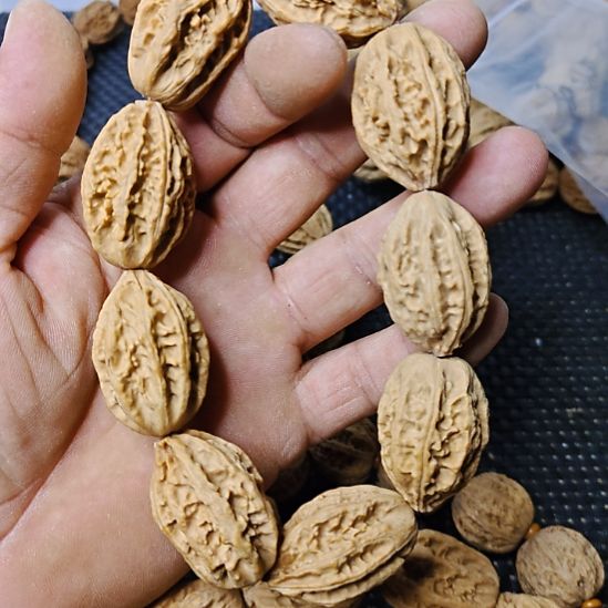 天***意木质类纯野生山核桃