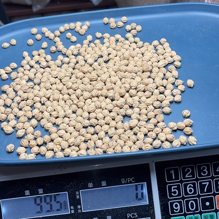 手串柏香籽/百香籽46号7+100克H8066