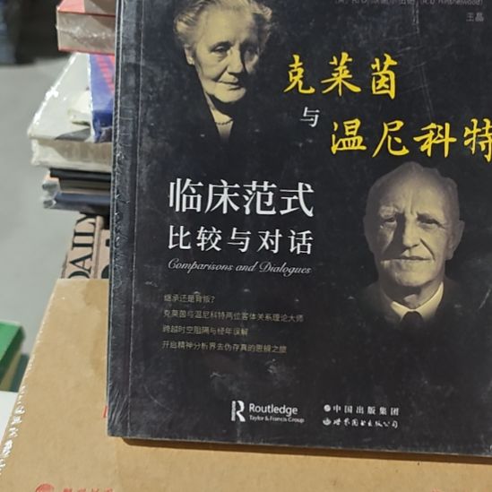 克莱因与温尼科特临床范式比较对话