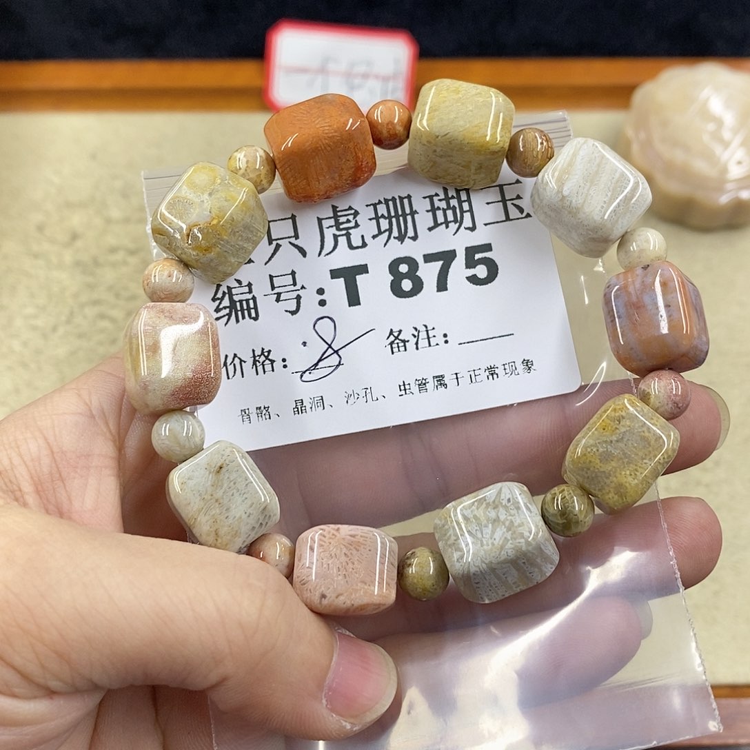 硅化珊瑚（珊瑚玉）1未镶嵌小*.