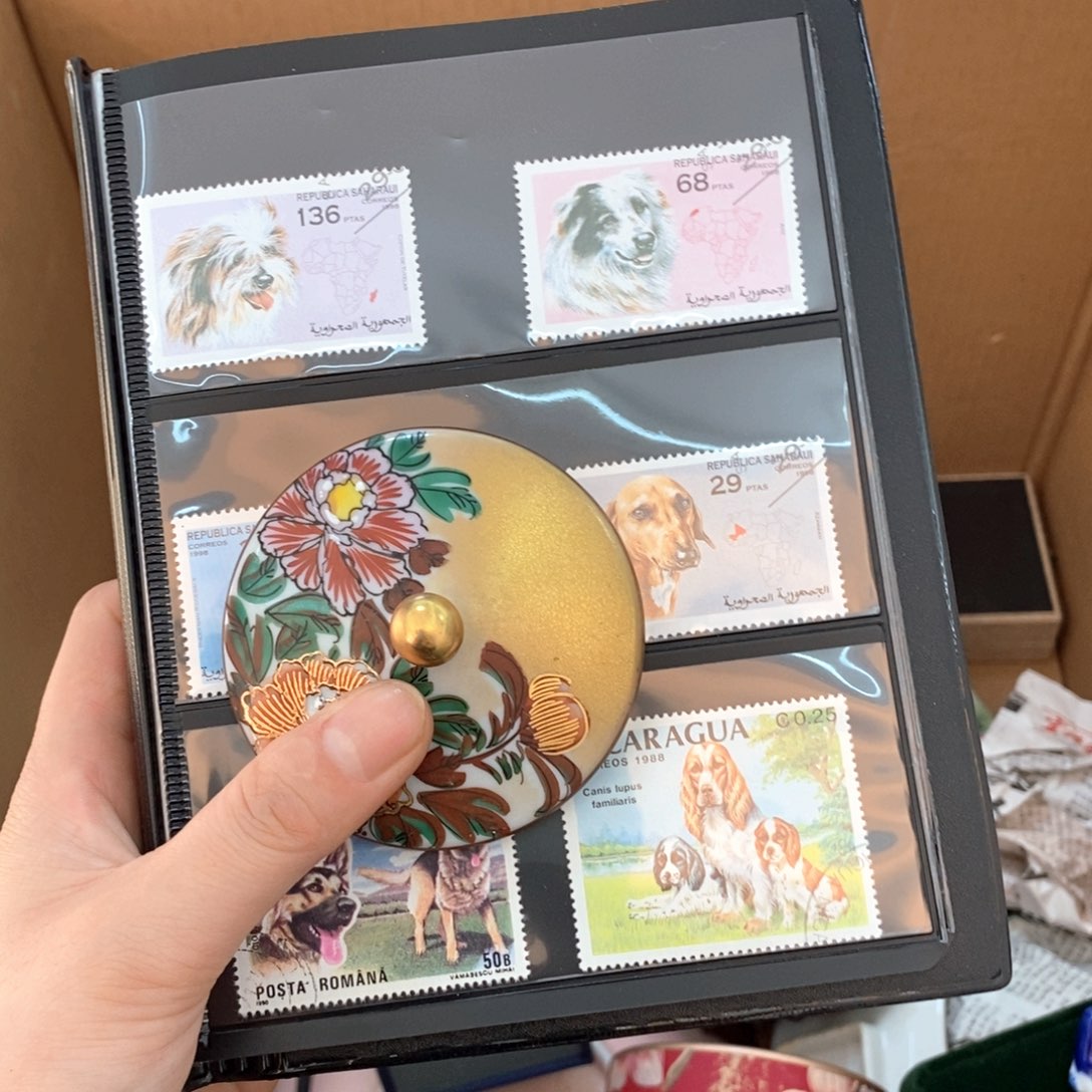 瓷片嘎嘎哈哈哈哈哈哈哈哈韩国