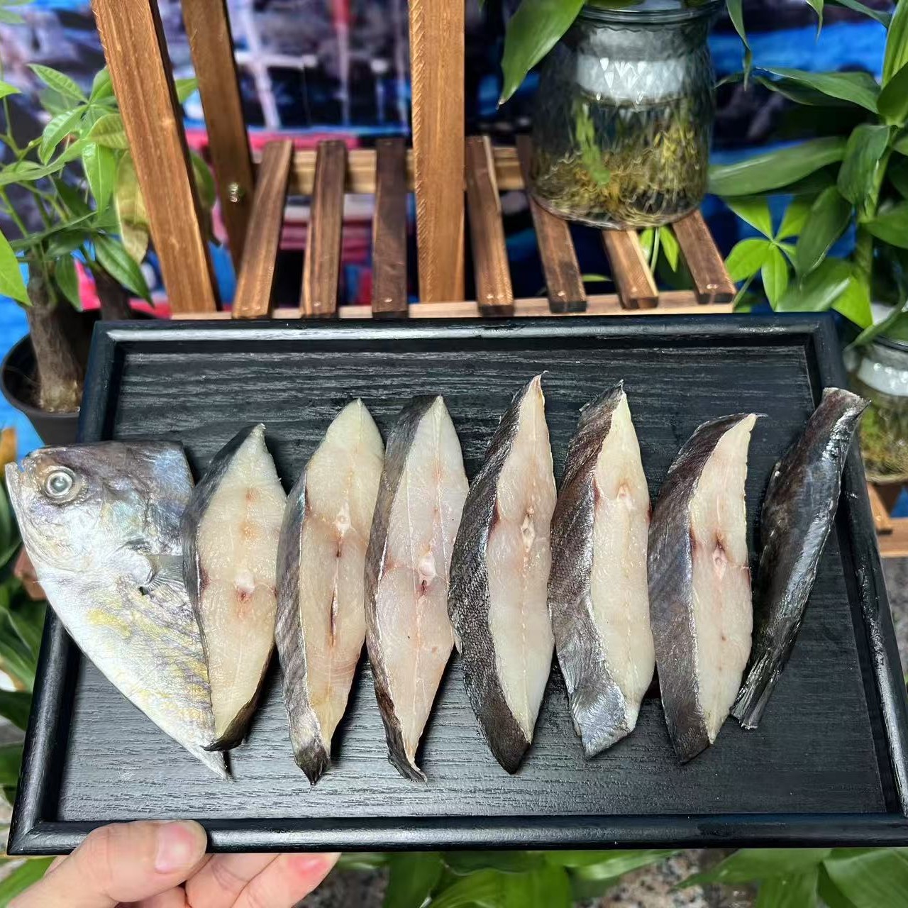 淡晒花鲳鱼肉质鲜美油煎、清蒸