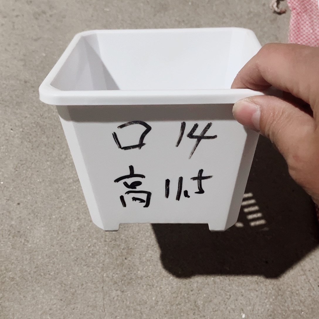 树脂升级款景天14方白色盆10个无托
