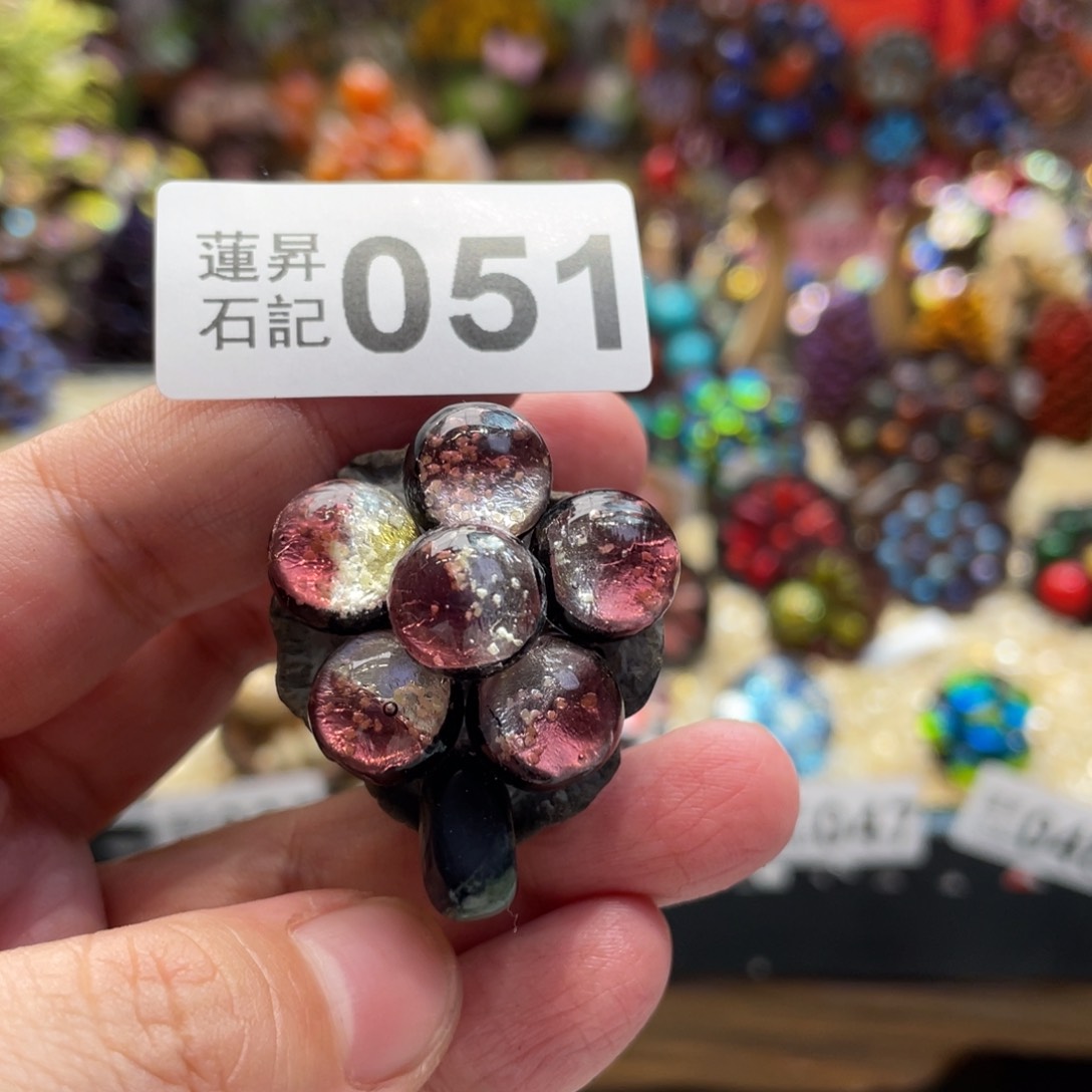 核桃木/黑胡桃（胡桃木）051