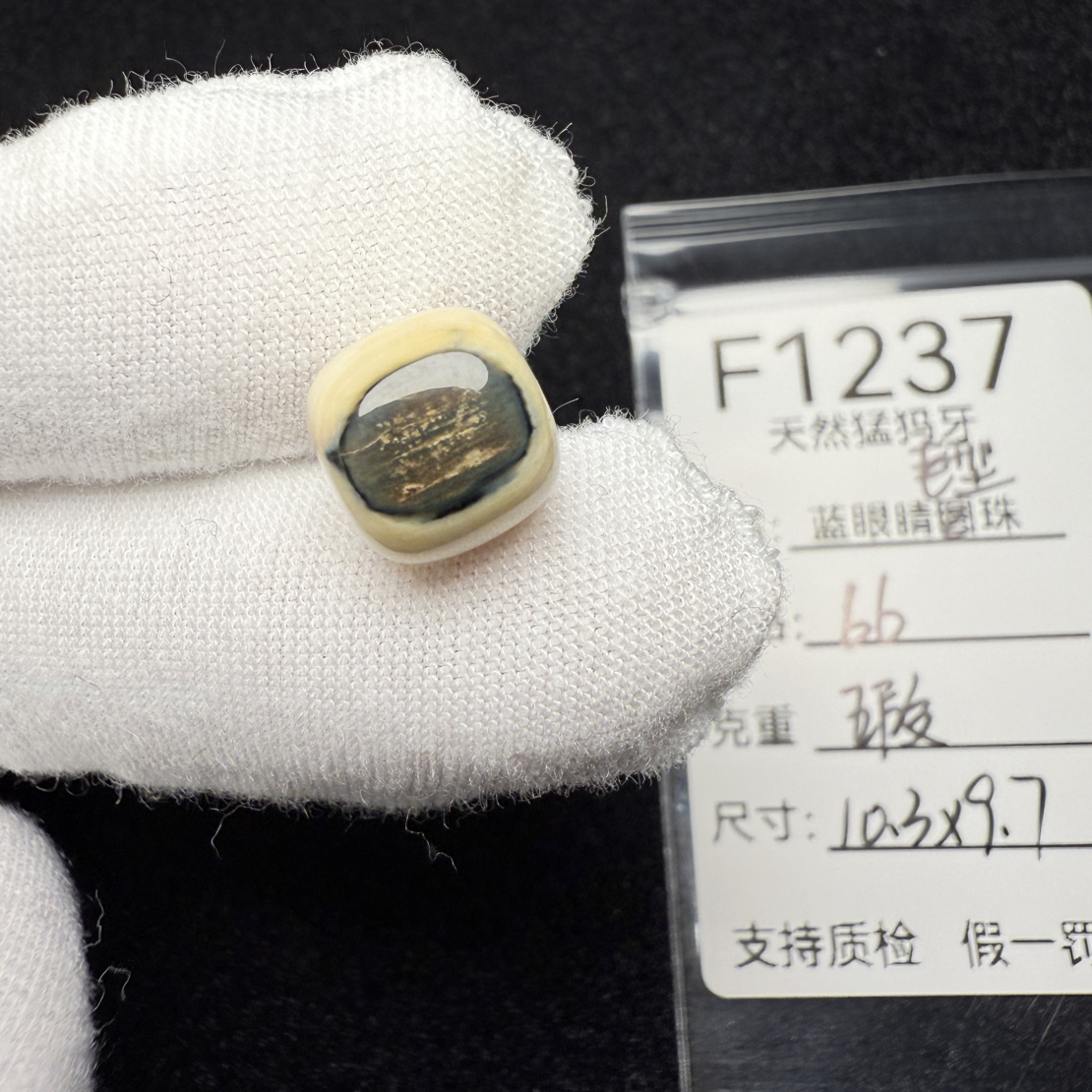 F1237天然猛犸象牙蓝皮老型桶珠墩子配珠配饰10.3*9.7mm微瑕疵