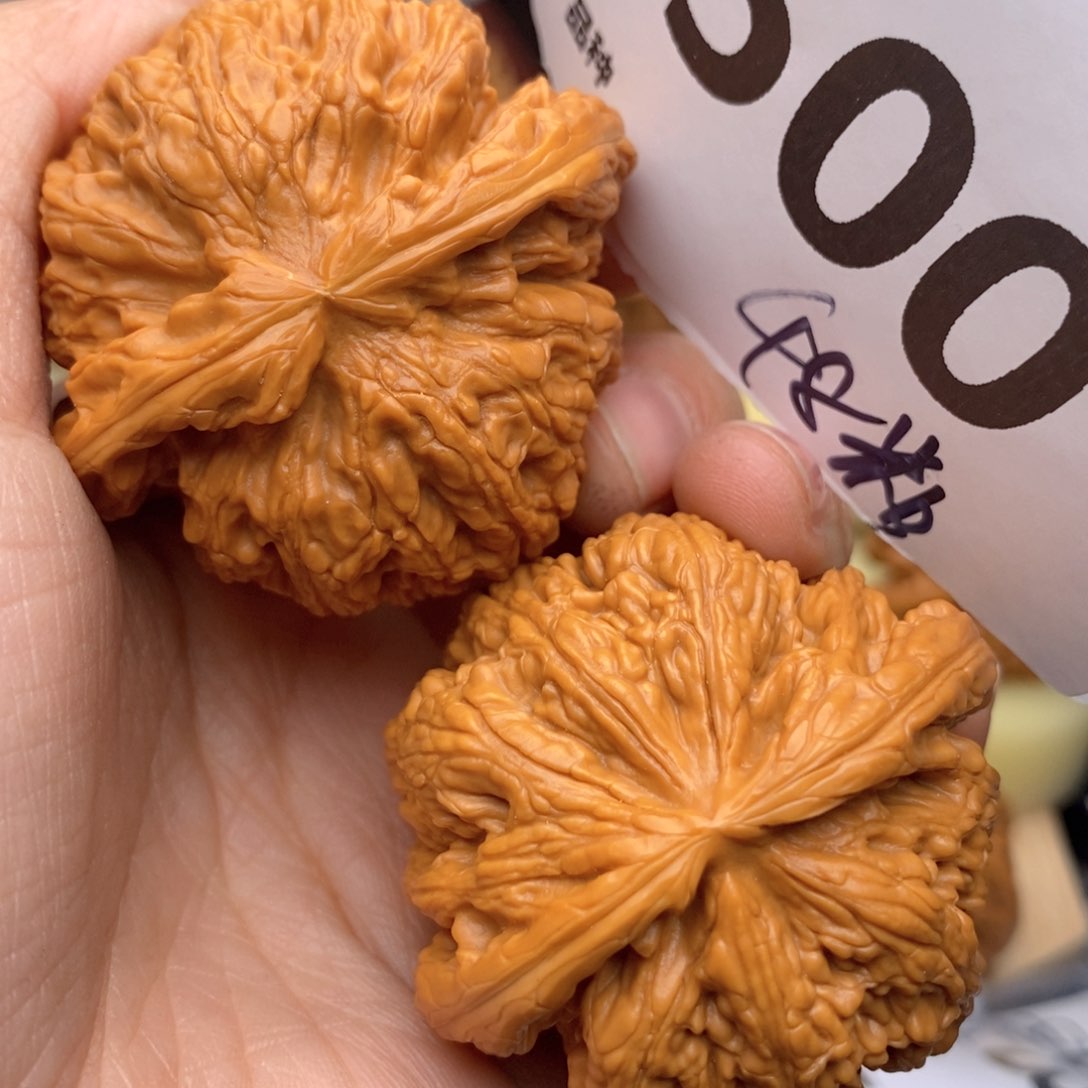 文玩核桃把件500号48粗筋