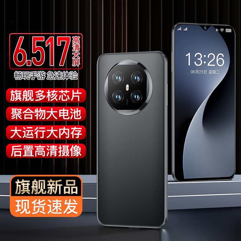 【官方正品】全新智能大屏全网通双卡双待品牌手机红鸟256黑-U