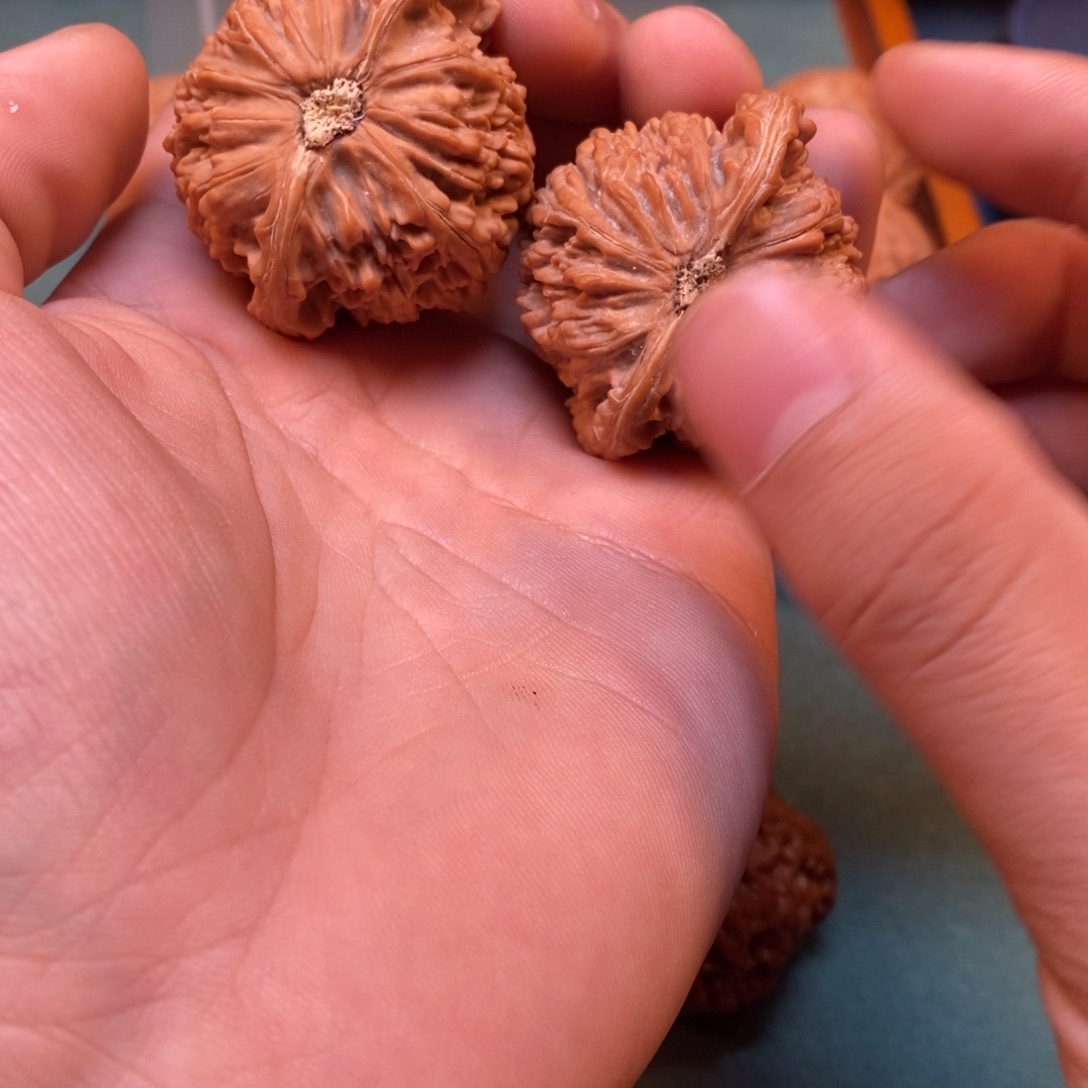 小***哥文玩核桃吊坠新品种