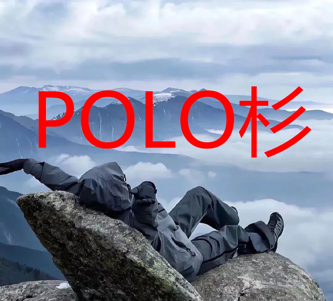 【衣服】休闲户外商务风格POLO衫03