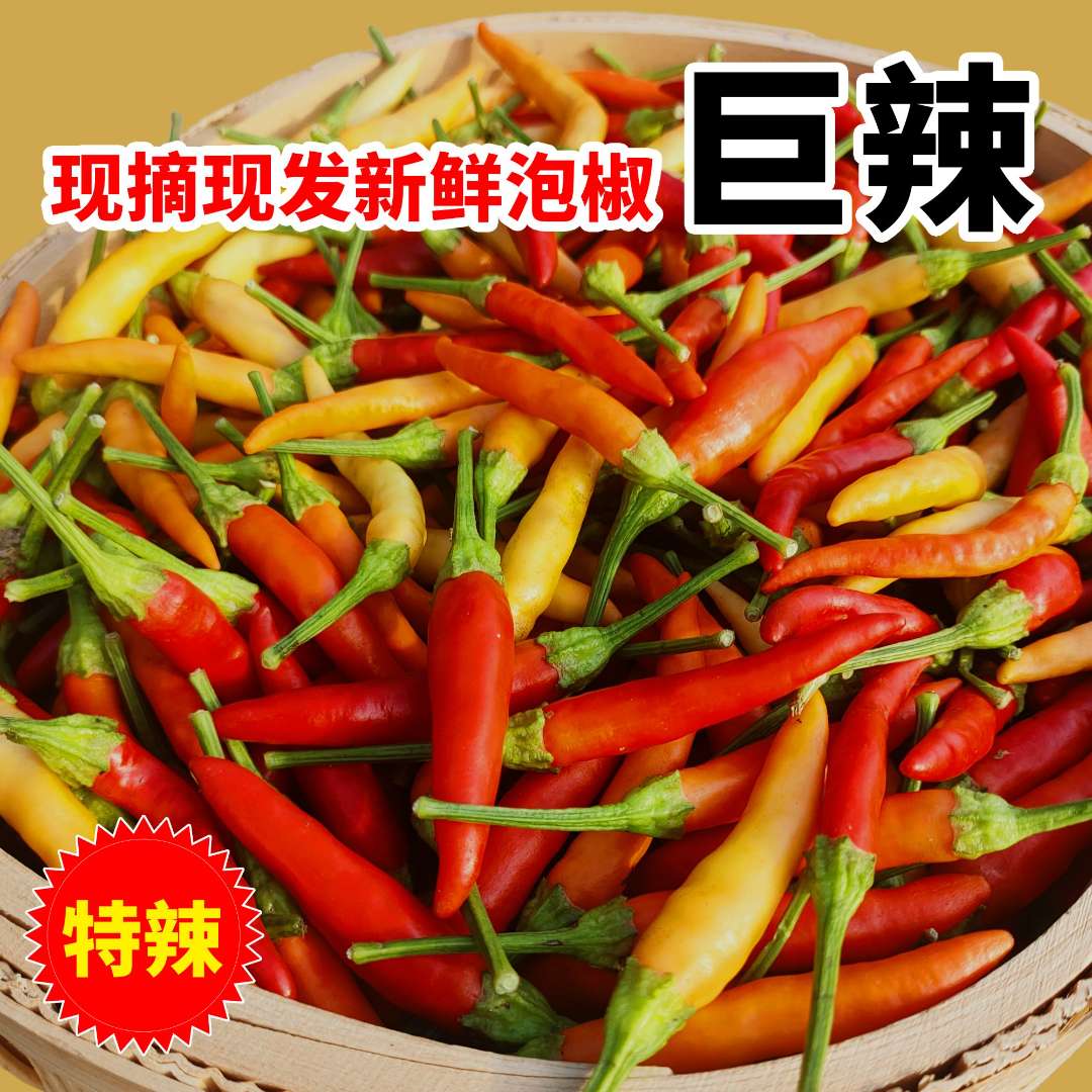 【新鲜泡椒】黄红泡椒辣椒特辣小米辣野山椒红小米椒新鲜批发魔鬼椒