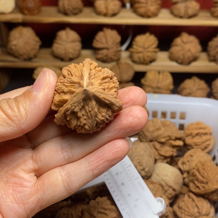 田***桐文玩核桃把件尺寸