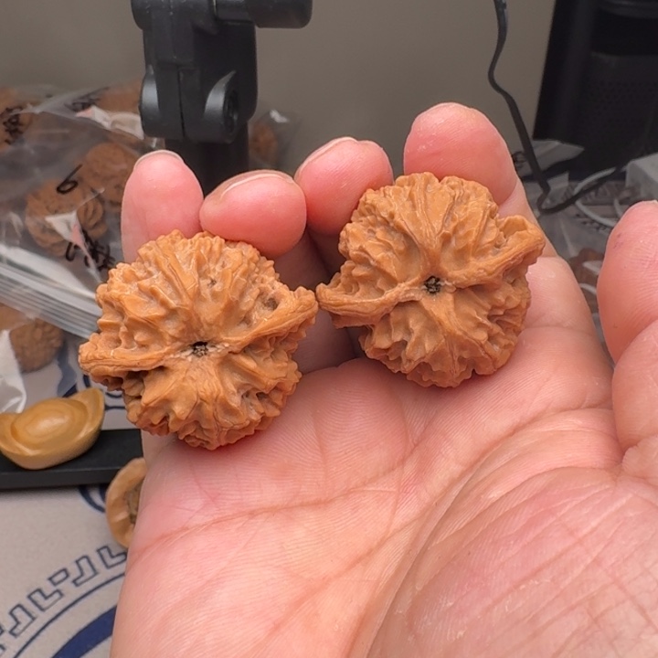 桃核把件山地苹果园39尺16