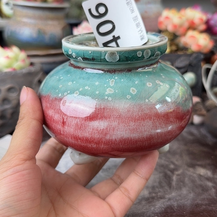 重庆小燕子欢迎大家406