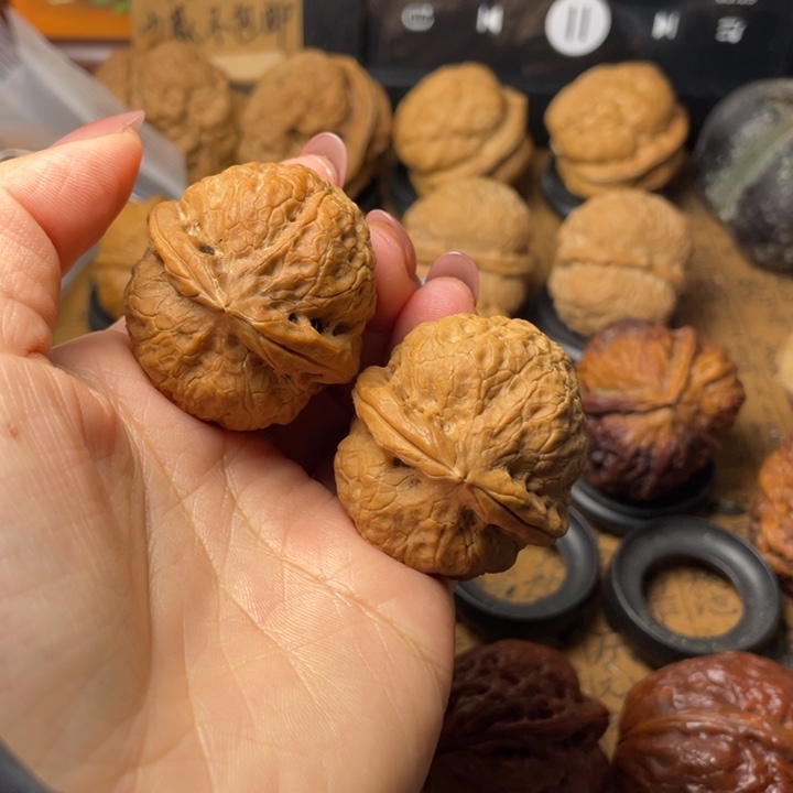 游***生如图所示一物一拍103