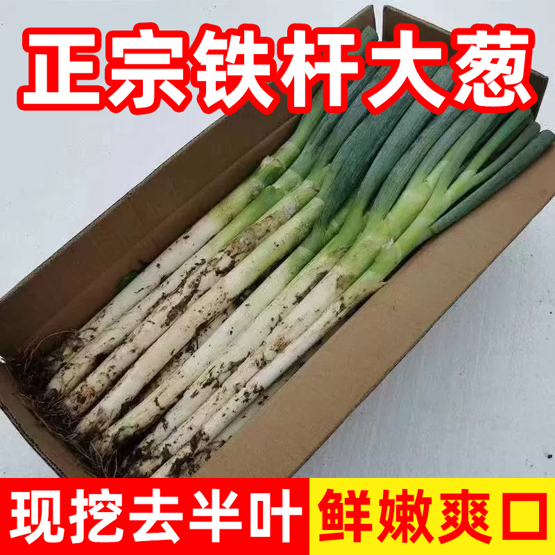 H【买5斤送5斤】新鲜2025现拔正宗铁杆大葱头茬精品农家现挖现发