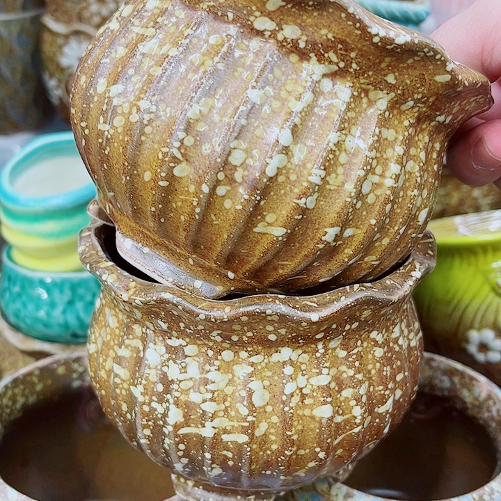 多肉植物陶瓷花盆