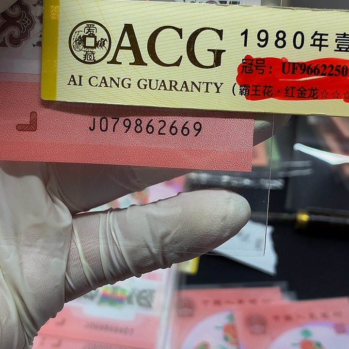 一张一张一张一张一张