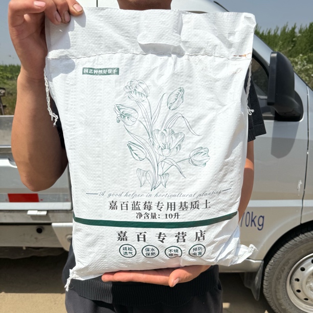 脱盐蓝莓专用基质土泥炭土弱酸性盆栽土壤