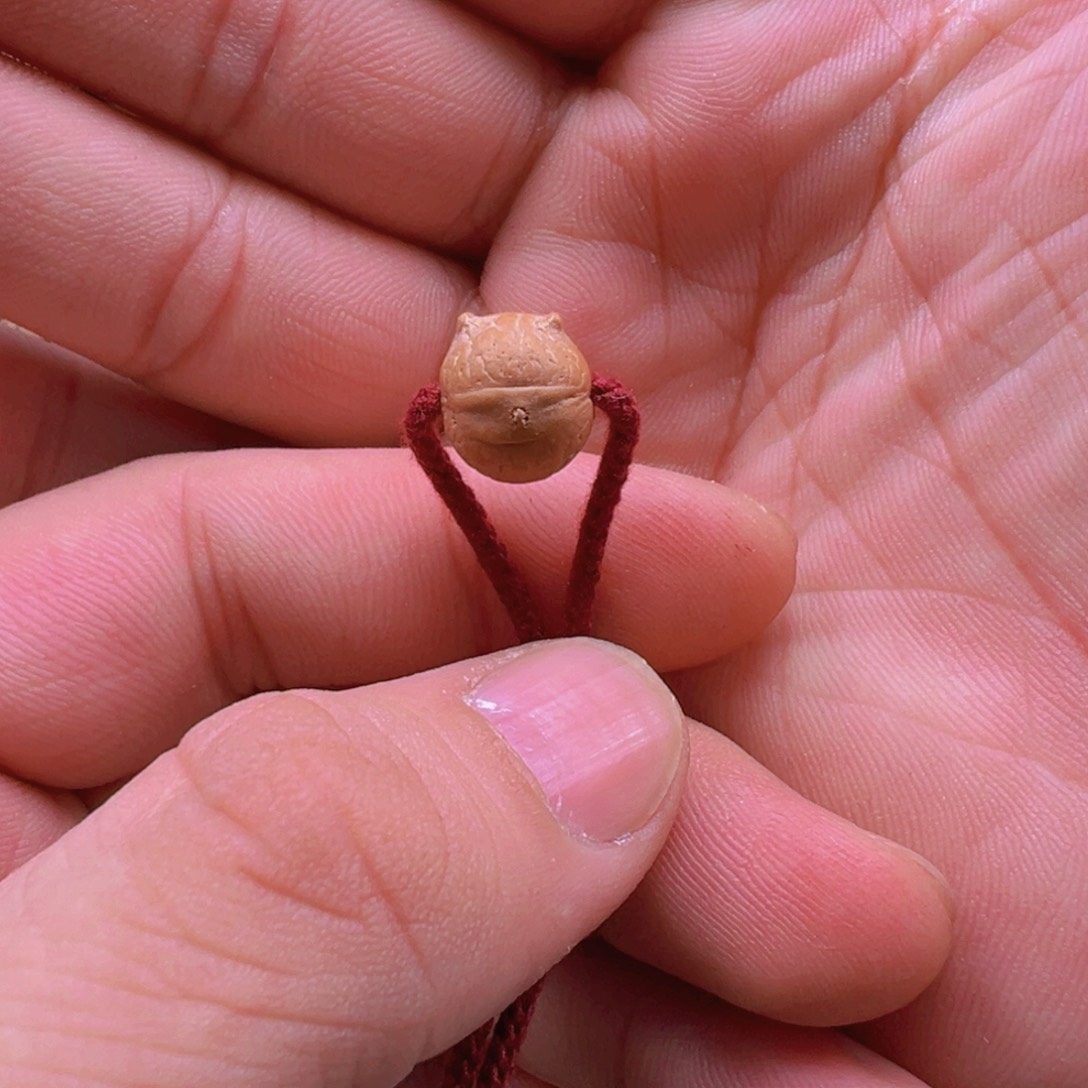 手串凤眼菩提10.5mm左右异型