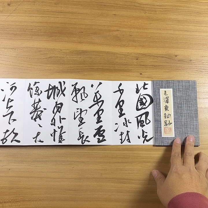 书法中书协会员作品