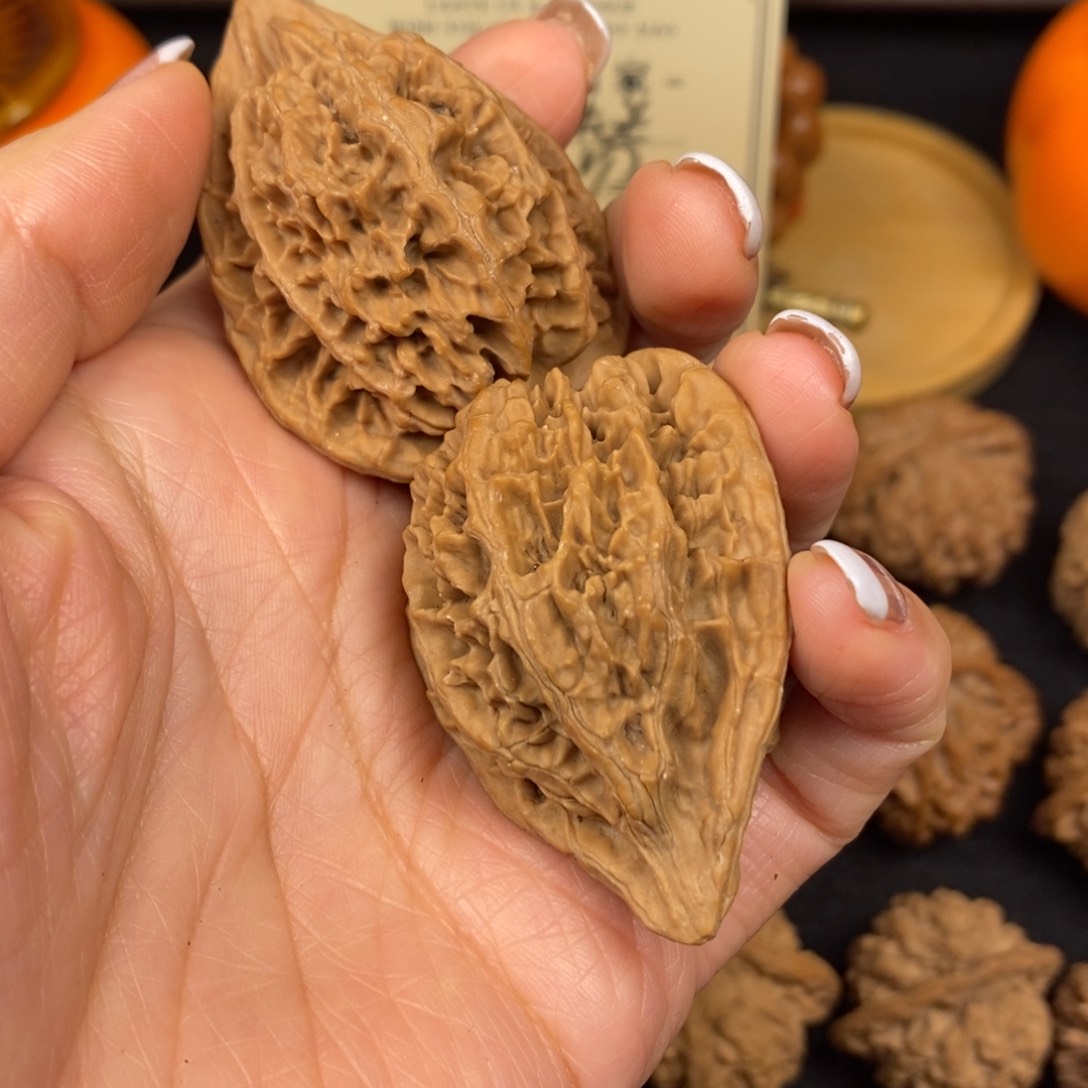 溯*师秦岭南北麓是著名