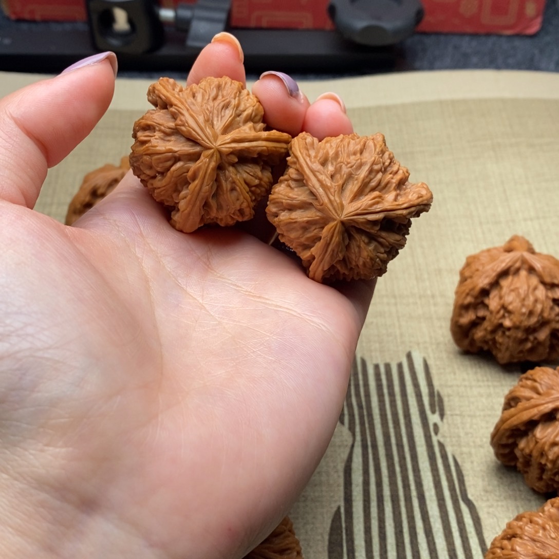 嗡*吽白狮子1111111111111