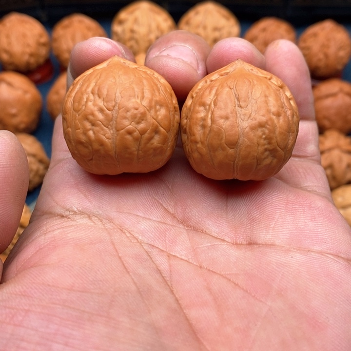 文玩核桃把件龙珠