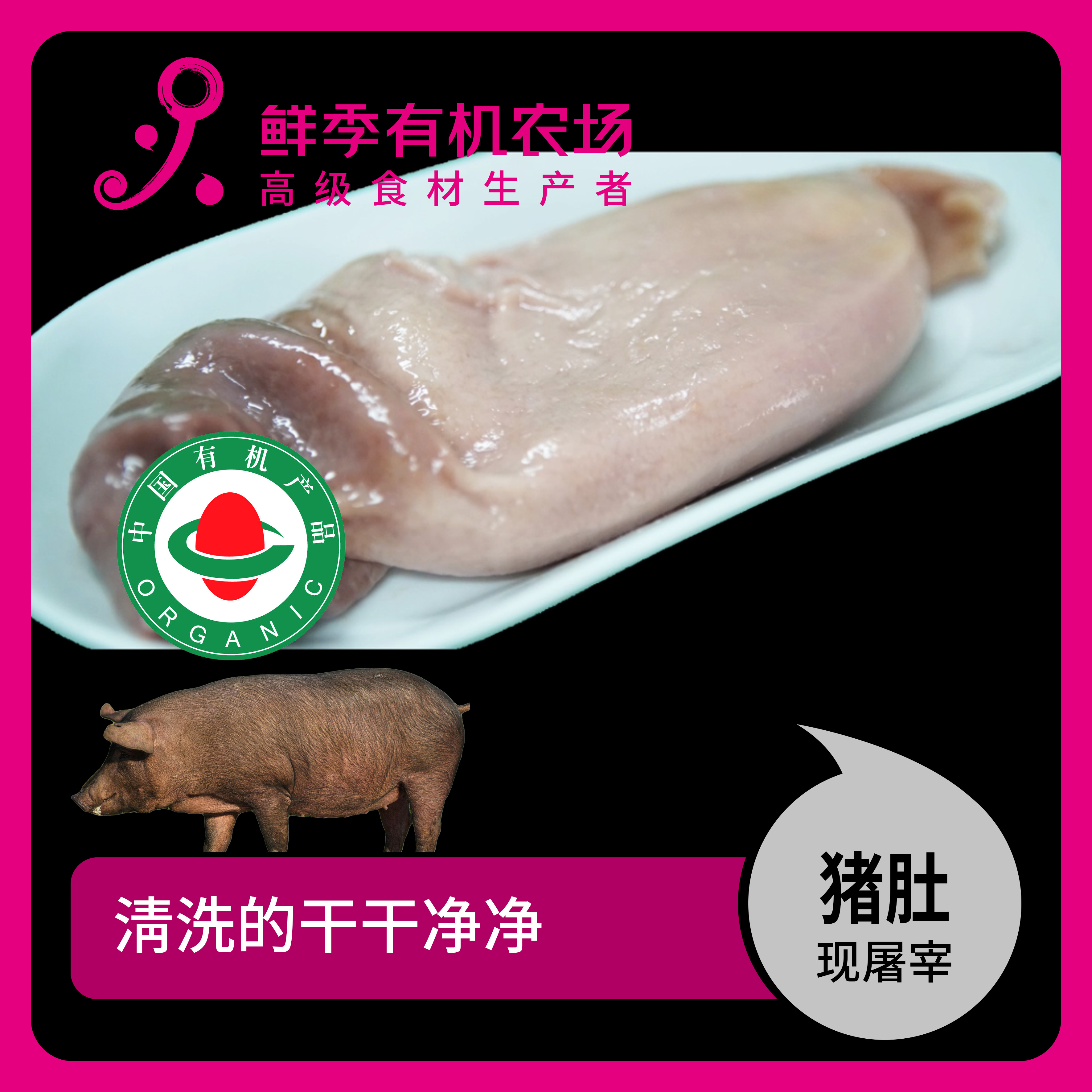 鲜季全自产 有机猪肚半个 黑猪 鲜肉非冻品/空运