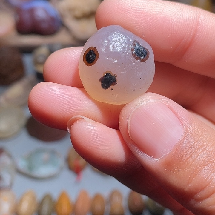 大叶紫檀（黑酸枝木类）