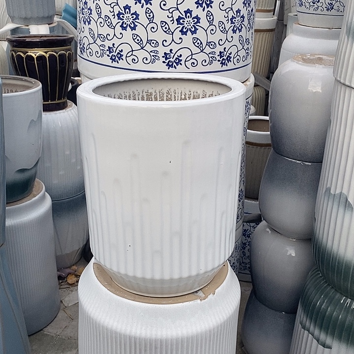 白音符中口26高33