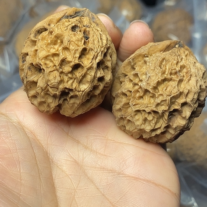把件文玩核桃云南铁核桃76