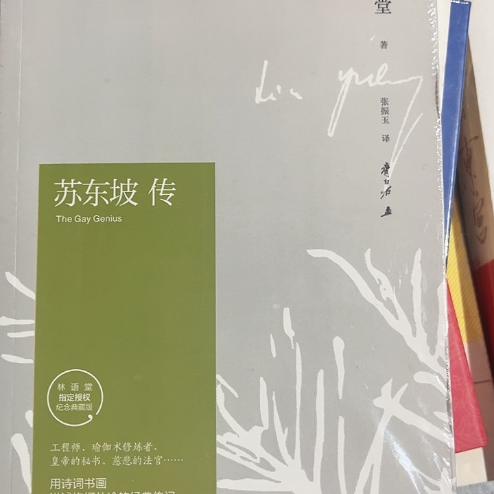 苏东坡传全新推荐