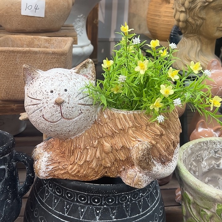 888999999966669999999