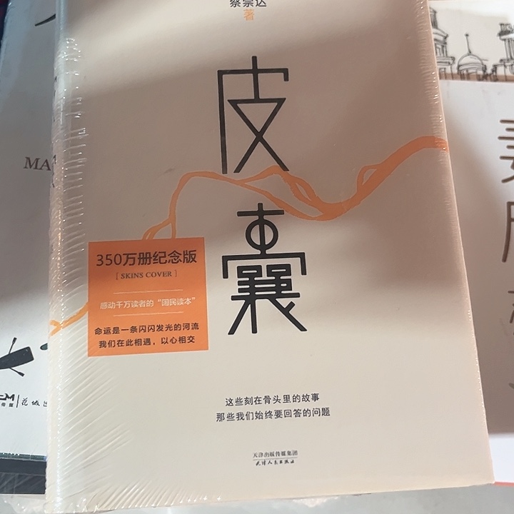 皮囊新书推荐全新