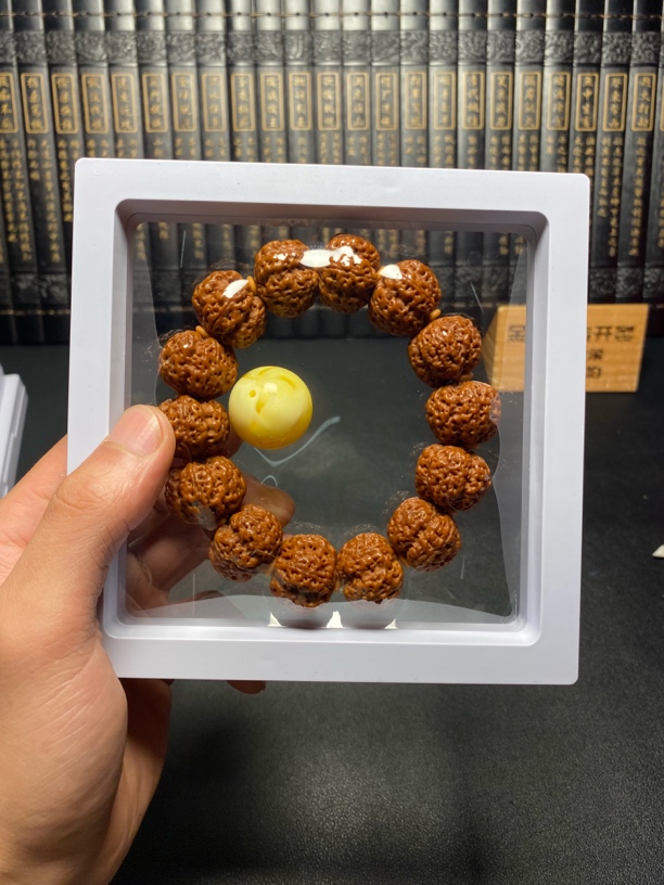新品满肉梅花蜂王：4号