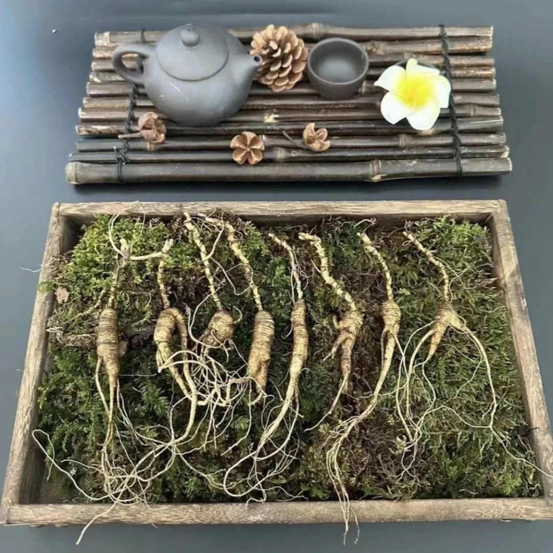 长白山 林下参（改价链接）