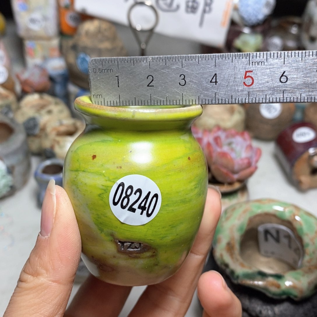 花盆拍5送一个小礼物