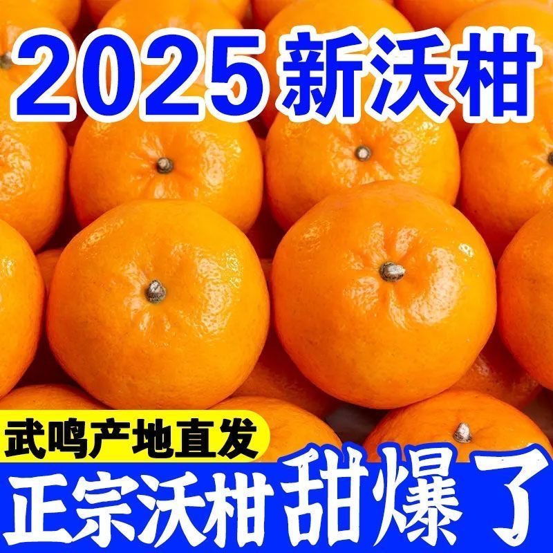 X10广西武鸣沃柑新鲜应季水果皮薄多汁香甜柑橘现摘直发